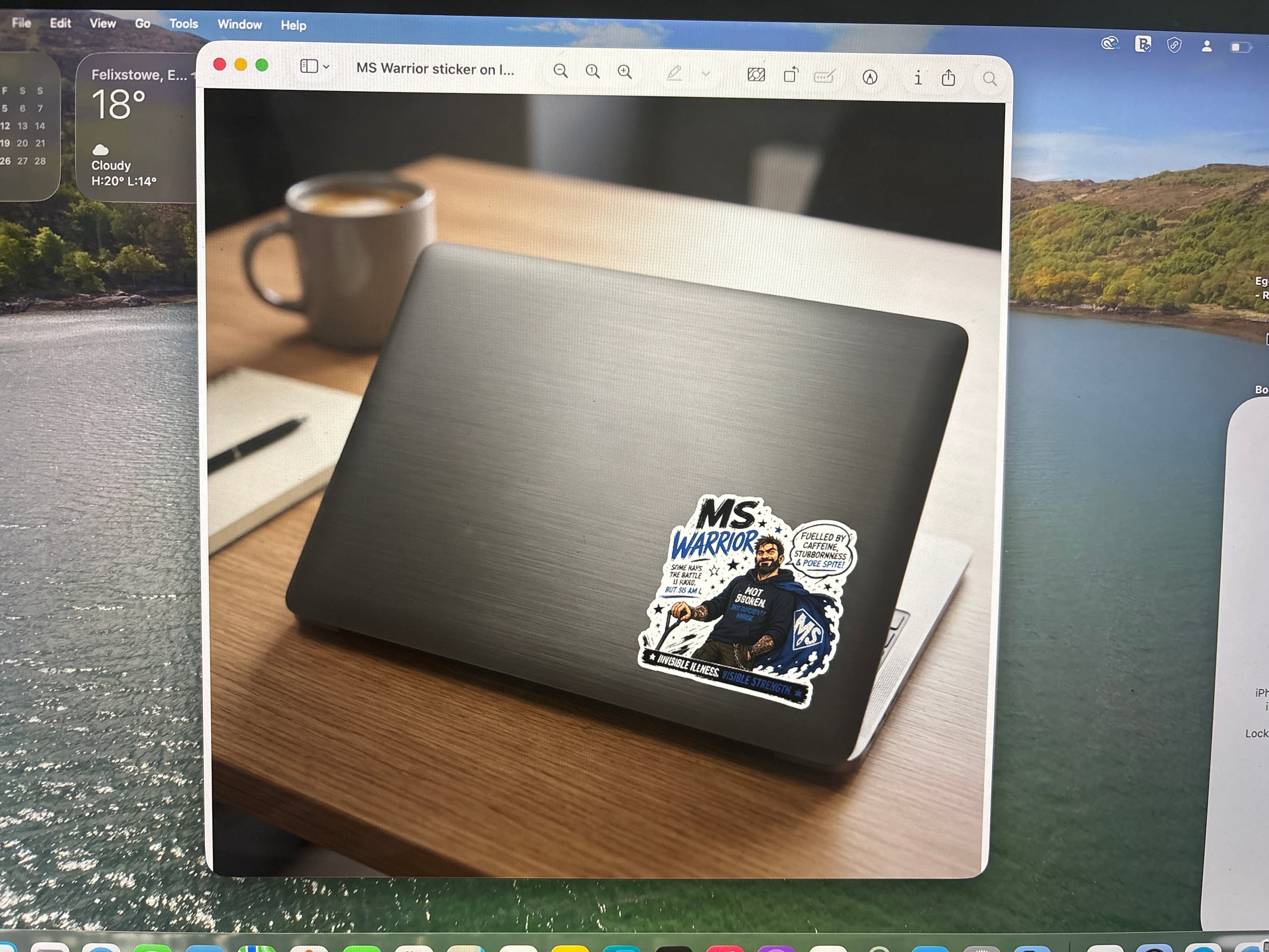 MS Warrior Sticker